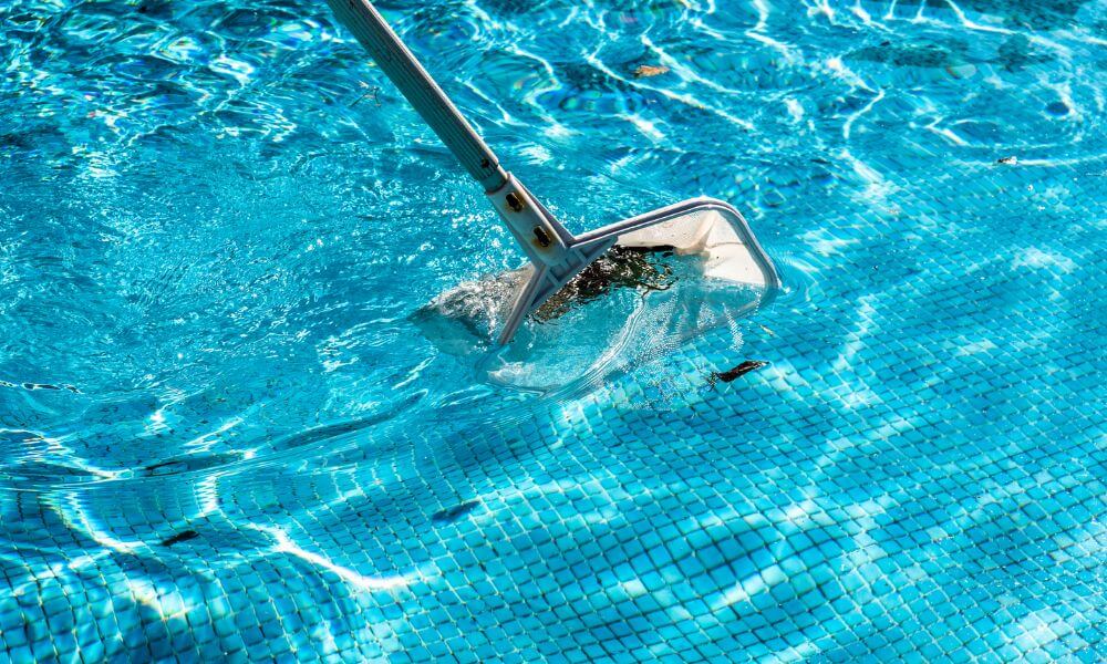 El mantenimiento inadecuado de la piscina puede atraer insectos
